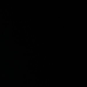 Meet your Posher, Bitch